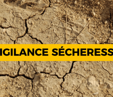 vigilance-secheresse